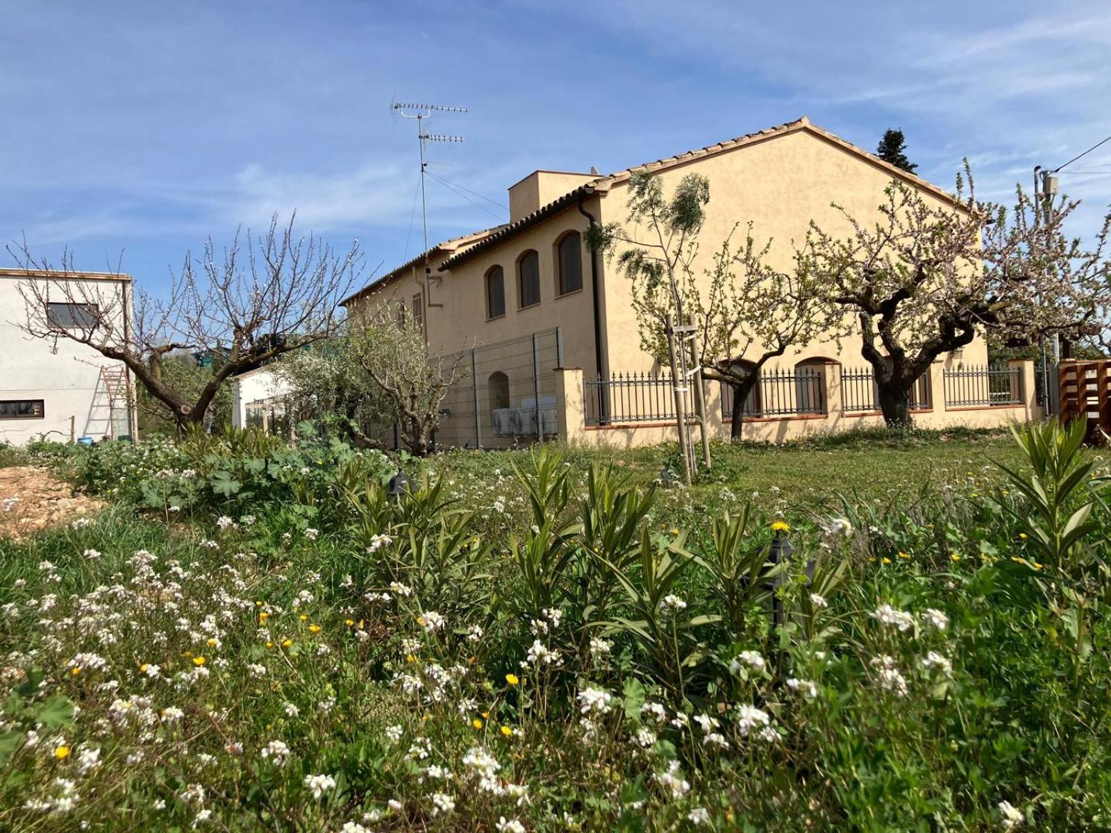 Apartment With Private Pool And Garden San Martin Sarroca Экстерьер фото